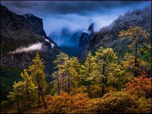 Chmury, Park Narodowy Yosemite, Las, Stan Kalifornia, Góry, Drzewa, Stany Zjednoczone, Sierra Nevada