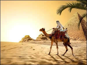 Człowiek na wielbłądzie z widokiem na piramidy i piasek pustyni