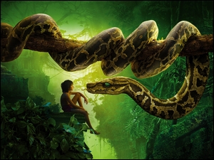SkaĹy, The Jungle Book, WÄĹź, ChĹopiec, KsiÄga DĹźungli