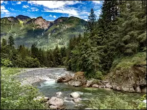 Kamienista rzeka płynąca pośród górskiego lasu