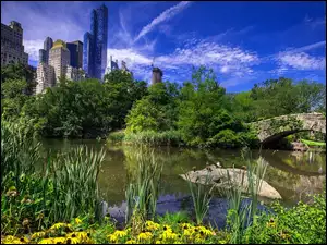 Central Park z stawem i mostkiem