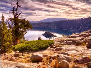 Stany Zjednoczone, Jezioro, Kalifornia, Lasy, Drzewa, Lake Tahoe, Wyspa Fannette, Góry, Park Emerald Bay