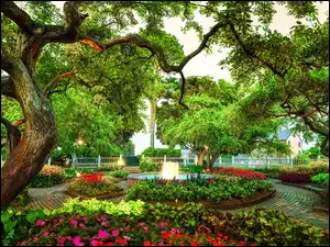 Drzewa , kwiaty i fontanna w parku
