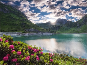 Górskie jezioro z kwiatami