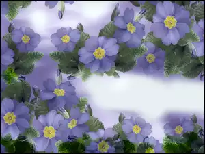 Grafika 2D, Niebieskie, Kwiaty