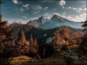 bawarskie góry z lasami i drzewami w jesiennej szacie