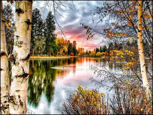 Jezioro, Odbicie, Brzozy, Drzewa, Jesień