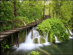 Park Narodowy Jezior Plitwickich, Wodospad, Drzewa, Chorwacja, Pomost, RoĹliny