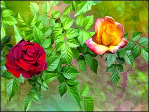 Graficzne dwie róże