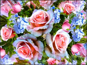 Róże i niebieskie hortensje w grafice