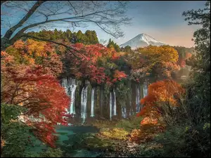 Wodospad Shiraito, JesieĹ, GaĹÄzie, Park Narodowy FudĹźi-Hakone-Izu, LiĹcie, WieczĂłr, Japonia, Drzewa