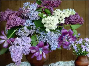 Bukiety wiosennych kwiatów w wazonach