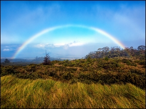 Tęcza nad Parkiem Narodowym Haleakalā na wyspie Maui na Hawajach