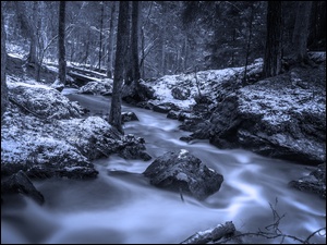 Rzeka przepływająca przez las wśród kamieni
