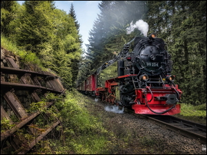 Pociąg parowy jadący przez las