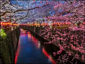 Tokio, Japonia, KwitnÄce, Latarnie, KanaĹ, Drzewa owocowe
