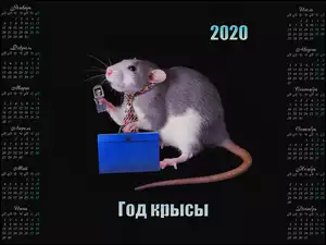 2020, Kalendarz, Krawat, Teczka, Szczur, Telefon