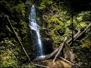 Wodospad spływający do leśnych skałach