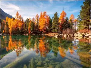 Jezioro, Góry, Drzewa, Odbicie, Kolorowe, Jesień