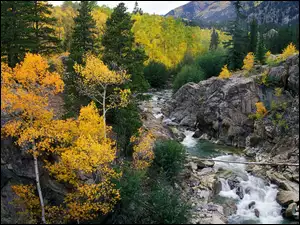 Potok, Kolorado, Lasy, GĂłry, SkaĹy