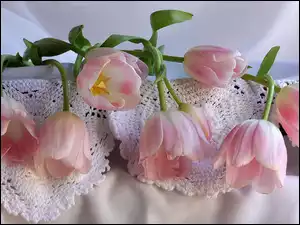 Kompozycja, Różowe, Tulipany