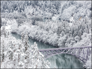 Drzewa, Tadami River, Mishima, Most, Śnieg, Fukushima, Rzeka, Zima, Tadami River Bridge, Las, Japonia