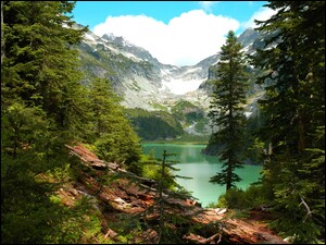 Jezioro w otoczeniu gór i lasu
