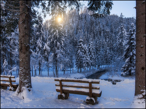 Ławki w zaśnieżonym parku nad rzeczką o świcie