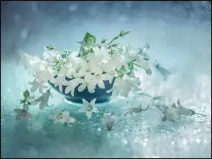 Białe Kwiatki Bokeh
