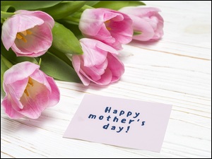 Życzenia i tulipany dla mamy