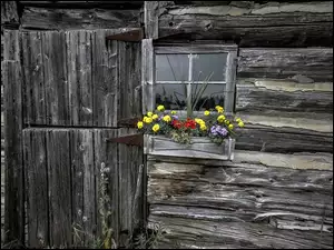 Drewniany dom z oknem i kwiatami