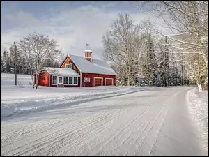 Zimowa droga z drzewami obok domów