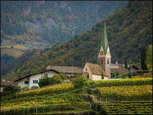 Kościół wśród winnic w gminie Bolzano