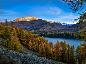 Jezioro leśne w górach jesiennych