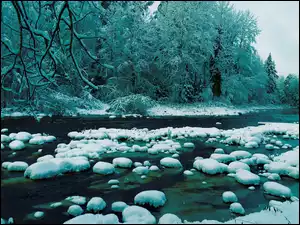 Rzeka, Zima, Śnieg, Kamienie, Drzewa, Las