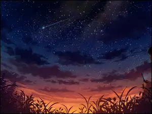 Anime, Dziewczyna, Niebo, Gwiazdy