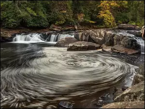 Youghiogheny River, Drzewa, Uskok, Maryland, Wir, Rzeka, Stany Zjednoczone, Skały