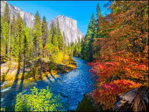 Merced River, Stany Zjednoczone, Park Narodowy Yosemite, GĂłry, JesieĹ, Rzeka, Drzewa, Kalifornia