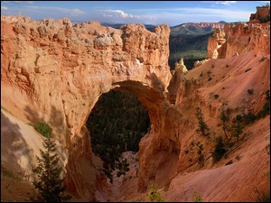 Park Narodowy Bryce Canyon, SkaĹy, Kanion, Utah, Drzewa, Bryce Canyon, Stany Zjednoczone, Ĺuk Natural Bridge