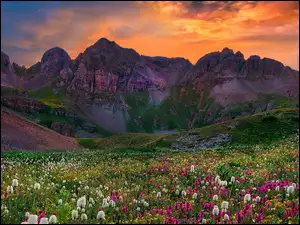 Kwiaty na ĹÄce na tle kolorowego nieba nad gĂłrami