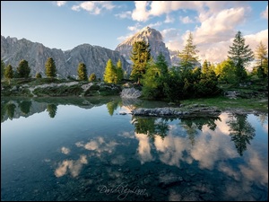Odbicie, GĂłry, Lago Limides, Prowincja Belluno, Dolomity, Drzewa, WĹochy, Jezioro