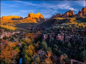 Stany Zjednoczone, GĂłry, Arizona, Kanion, Creek Canyon, SkaĹy, Kolorowe, JesieĹ, Drzewa