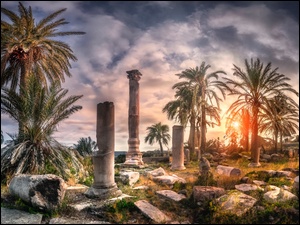Palmy i ruiny w Turaniana