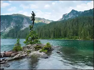 Jezioro, Mowich Lake, Stany Zjednoczone, Góry, Stan Waszyngton, Park Narodowy Mount Rainier, Drzewa