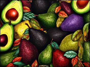 Grafika, Owoce, Kolorowe, Awokado