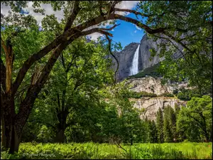Kalifornia, Stany Zjednoczone, Wodospad, Góry, Drzewa, Park Narodowy Yosemite