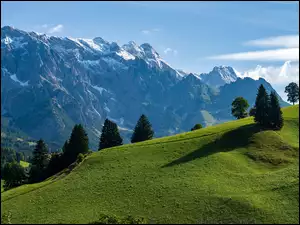 Widok na Alpy w gminie Dienten am HochkĂśnig
