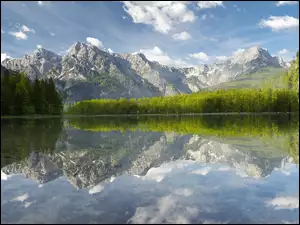Drzewa, Austria, Jezioro Almsee, Góry, Odbicie