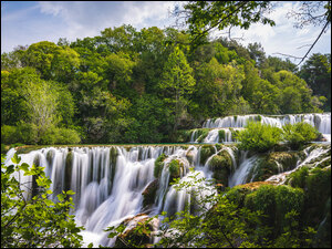 Skadinski, Wodospad, Las, Chorwacja, Drzewa, Park Narodowy Krka