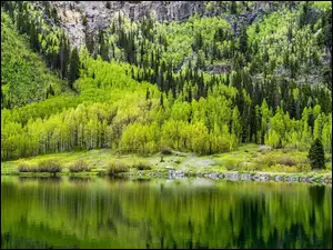 Crystal Lake, Jezioro, Stany Zjednoczone, Góry, Kolorado, Drzewa
